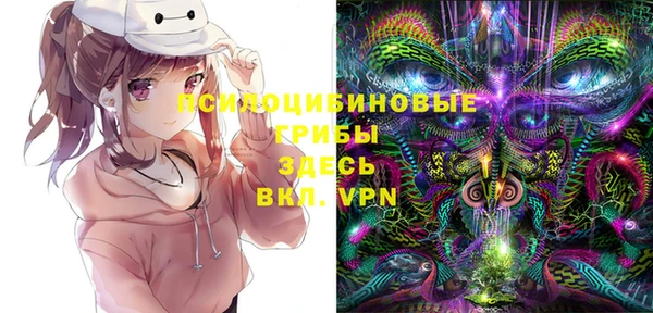 дмт Балахна