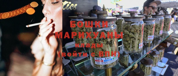 спайс Покачи