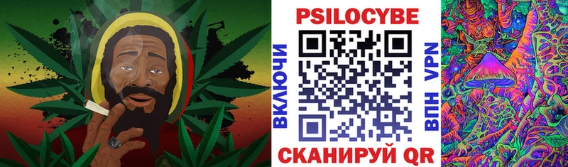 где купить наркоту  Спасск-Рязанский  Псилоцибиновые грибы Psilocybine cubensis 